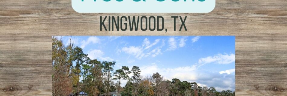 pros and cons of living in Kingwood TX